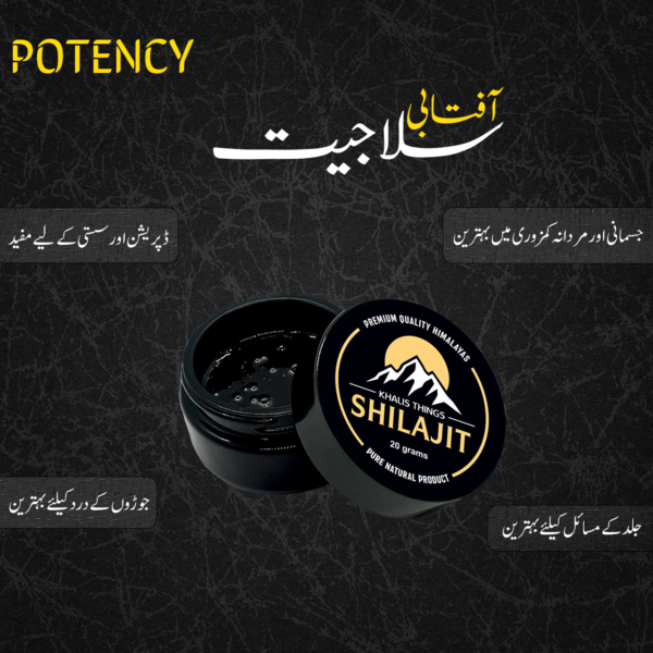 shilajit benefits